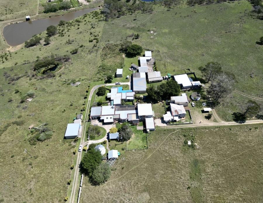 17 Bedroom Property for Sale in Cove Rock Eastern Cape